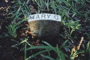 small headstone close to Burkett family monument