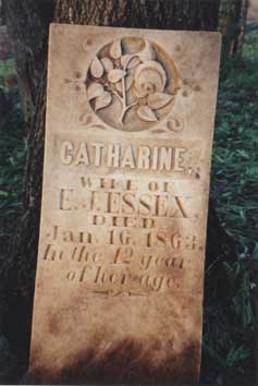 Catherine Essex